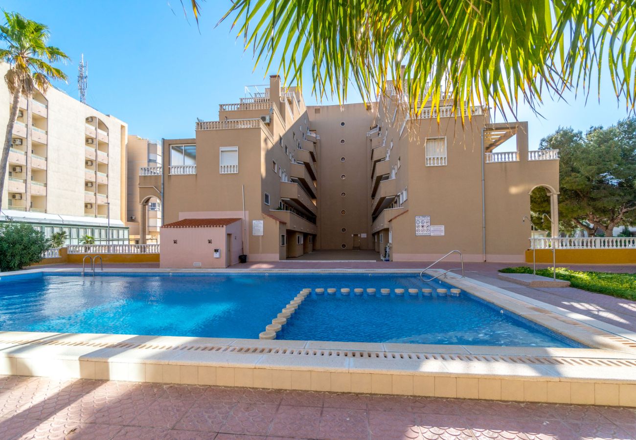 Apartamento en Torrevieja - VISTA by the Sea