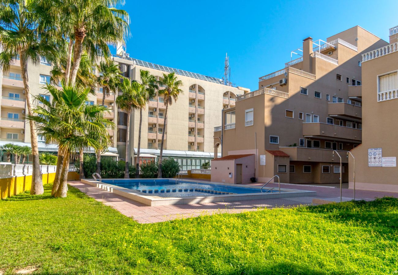Apartamento en Torrevieja - VISTA by the Sea